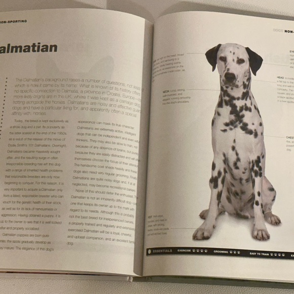 Dogs: From Extremely Large to Very Small • Igloo Books Hardcover Photo Guide - Picture 11 of 16